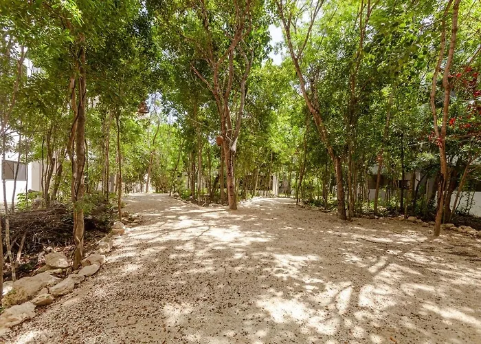 Apartment Lafrida Coto 8 Style 10 Min To Caribbean! *